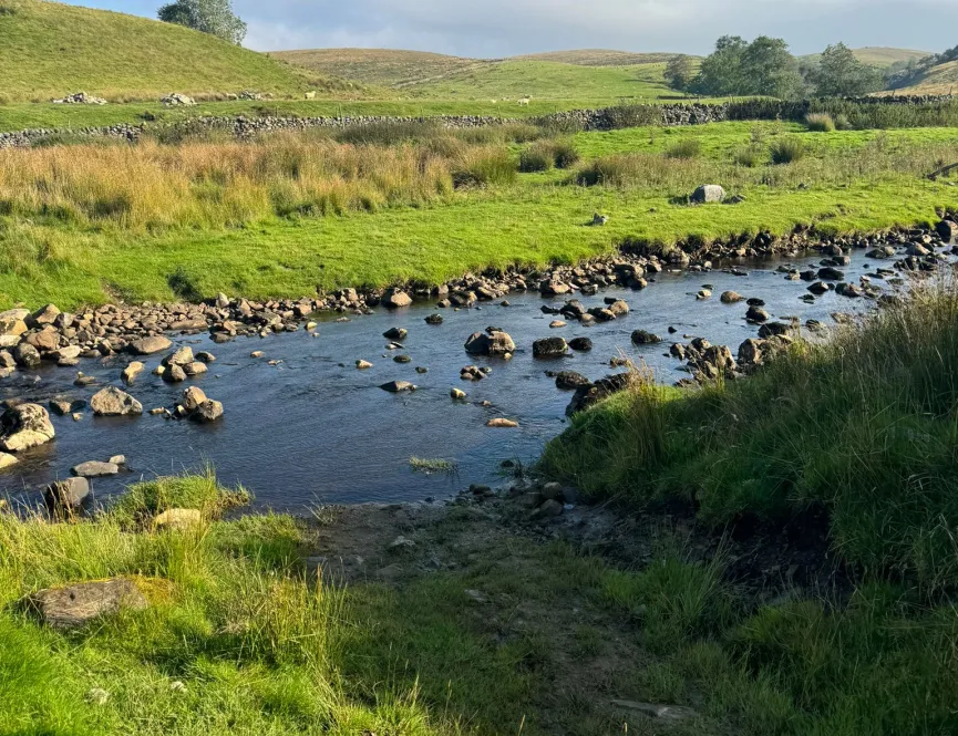 Public Sector Challenge